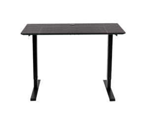 Writing 2 stages dual motor standing desk