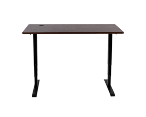 Home office 3 stages dual motor standing desk